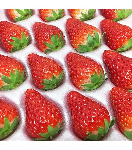 Amazon.co.jp: 八ヶ岳産 高級完熟 ありがいちご 約700g 濃厚な味わい